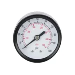Regulator gauge